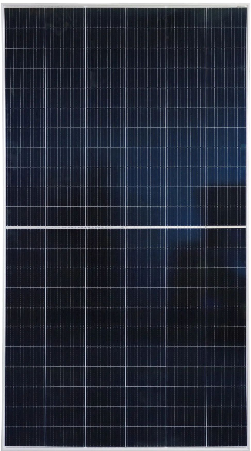 1647930105656966.jpg 1647930105656966.jpg