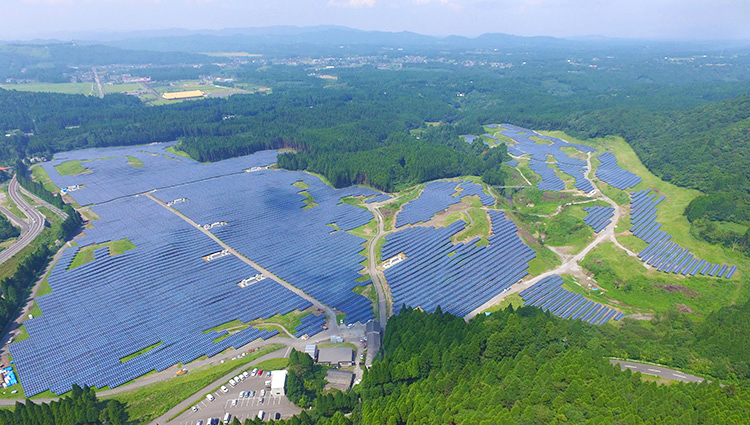 1647930218131853.png 8.png