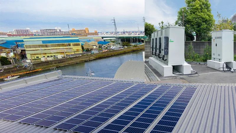 1647930342113853.jpg 10.jpg